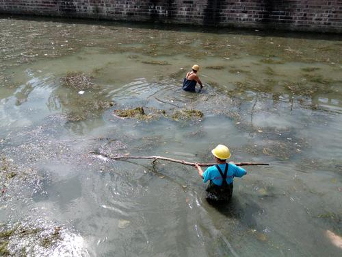 河道清理是为了优化水域生态环境